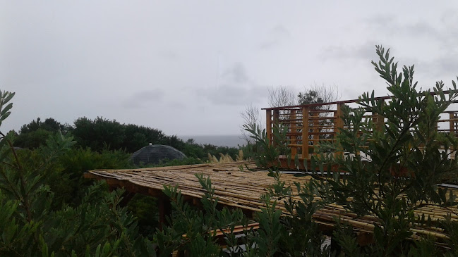 Comentarii opinii despre America Sativa Bar Grow