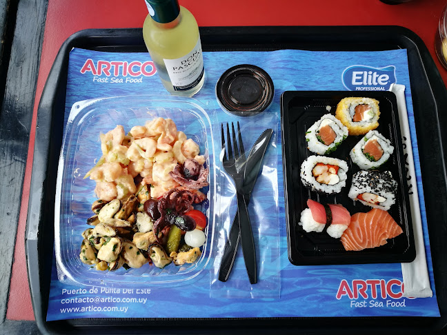 Comentarii opinii despre Ártico