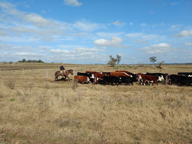 Ruta 81-Evaristo Guerra Mattos, 91700 Montes, Departamento de Canelones