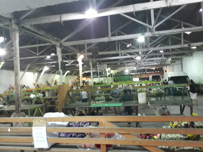 Comentarii opinii despre COFLORAL (mercado de flores)