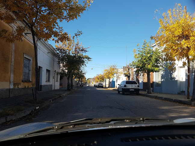 Comentarii opinii despre BAR ROCCA