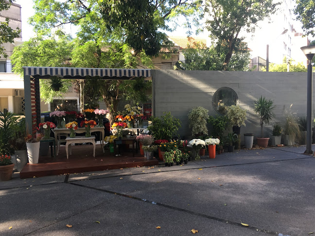 Opinii despre Akari flores în Montevideo - Gastronomía y hostelería