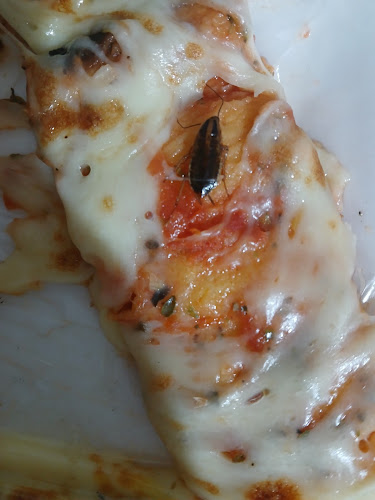 Opinii despre Pizzeria Cervantes în Montevideo - Gastronomía y hostelería