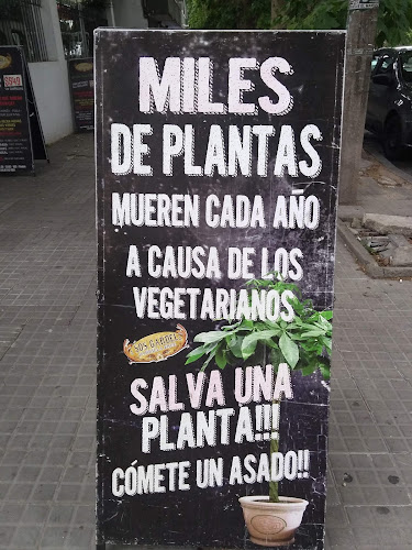 Punta Piedra - Gastronomía y hostelería