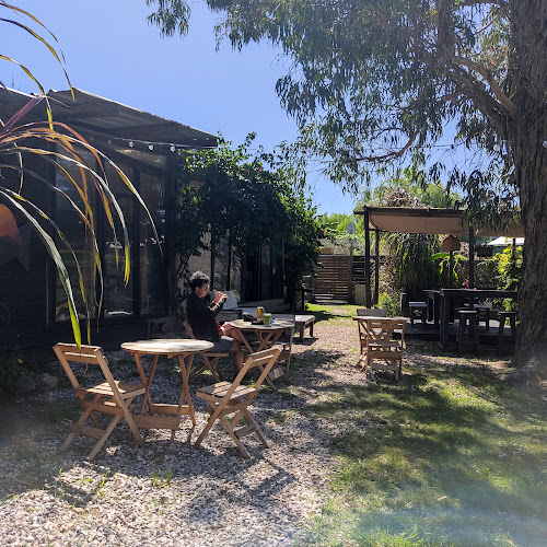 Comentarii opinii despre Salvador Cuchilla Alta