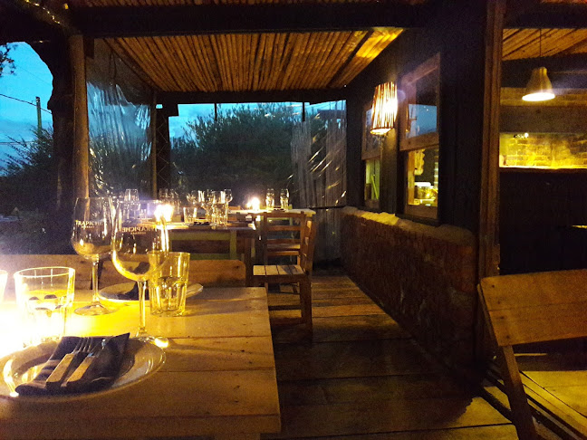 Elmo Resto Bar - Gastronomía y hostelería