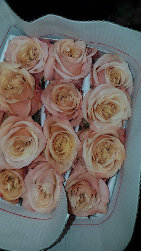 COFLORAL (mercado de flores) - Gastronomía y hostelería