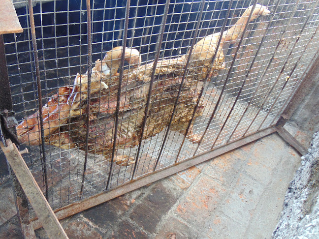 Opinii despre Garibaldi 10b în La Paz - Gastronomía y hostelería