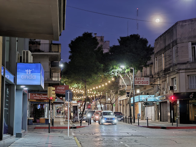 Panaderia la nueva paysandu - Gastronomía y hostelería