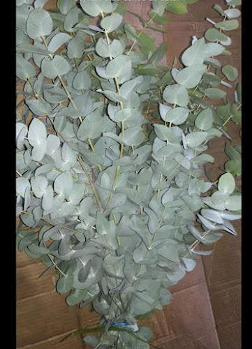 Comentarii opinii despre COFLORAL (mercado de flores)