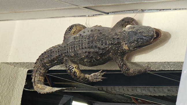 80100 Libertad, Departamento de San José