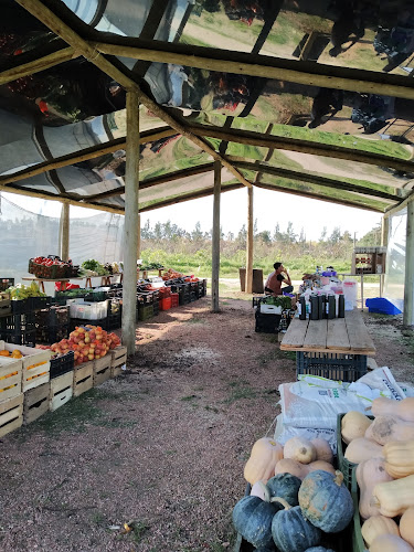 Opinii despre Feria Organica Chacra Melilla în Montevideo - Gastronomía y hostelería