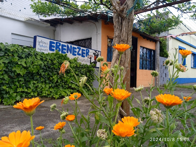 Opinii despre Ebenezer comidas în Durazno - Gastronomía y hostelería