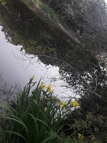 Comentarii opinii despre Lo de Santi Pizzas (ex bar Orlando)