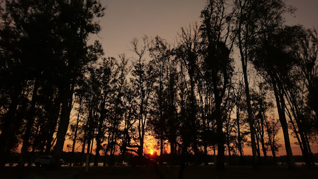 J2M8+CQF, 50000 Salto, Departamento de Salto