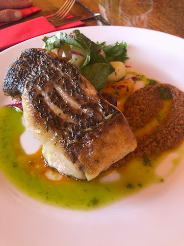 LA ESQUINITA GASTRONOMIA - La Paloma