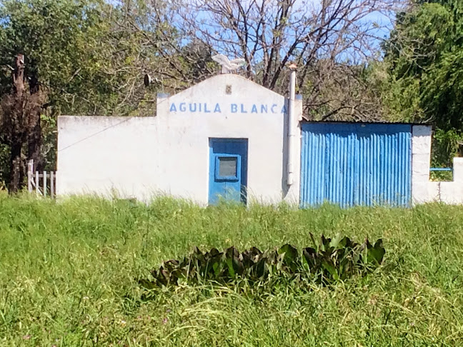 Agropecuaria Maneiro - Mercedes