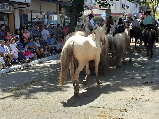 25 de Mayo 214, 45000 Tacuarembó, Departamento de Tacuarembó