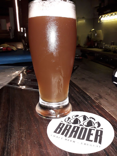 Pub restaurante Paladar - Gastronomía y hostelería