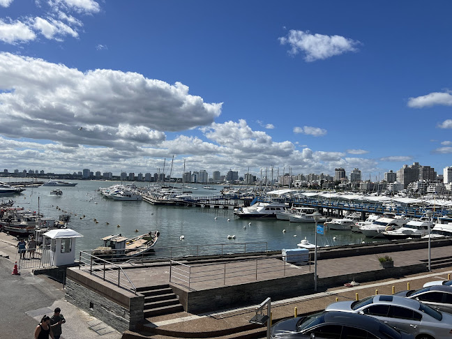 Ártico - Gastronomía y hostelería