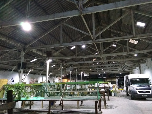 Guadalupe 1525, 11800 Montevideo, Departamento de Montevideo