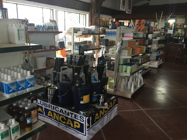 Comentarii opinii despre Agroventas 33