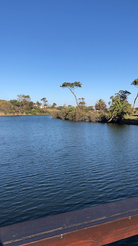 Canelones 2404, 11300 Montevideo, Departamento de Montevideo