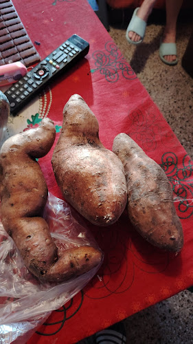 Mundo Fresco 7 - Montevideo