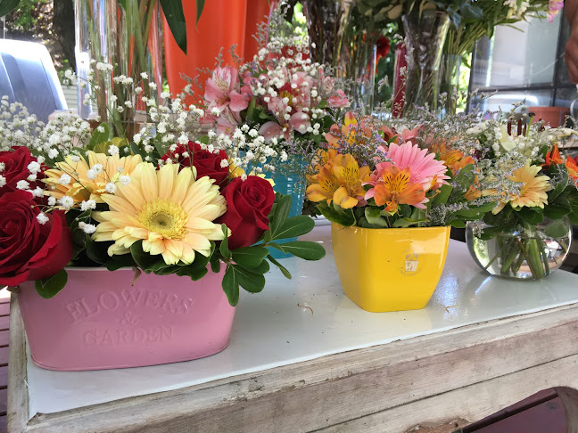 Akari flores - Montevideo