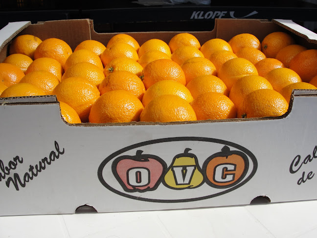 Opinii despre Establecimiento OVC în Canelones - Gastronomía y hostelería