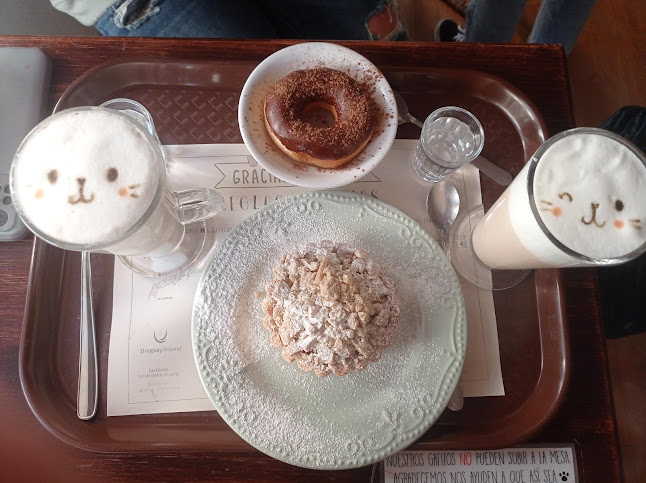 ADRIANUZCA'S CAT CAFÉ ☕🐈 - Punta del Este