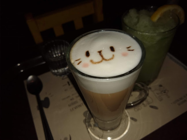 ADRIANUZCA'S CAT CAFÉ ☕🐈 - Punta del Este