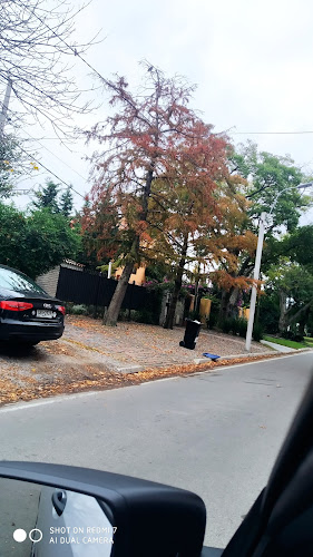 Dealma Gluten Free - Ciudad de la Costa