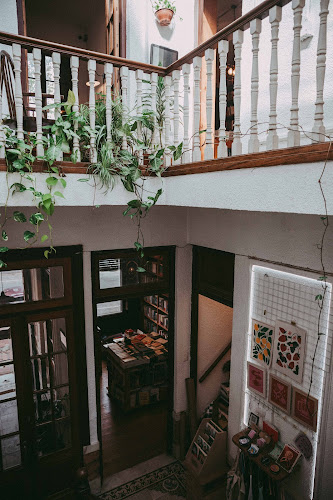 Comentarii opinii despre MACOCO Café