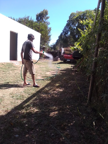 Comentarii opinii despre Panaderia La Más Sabrosa