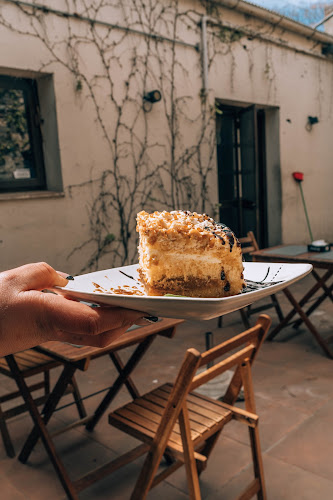 Los Kamikazes Colonia