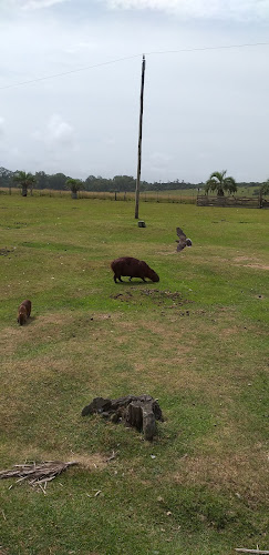 Parrilleros STA teresa - Chuy