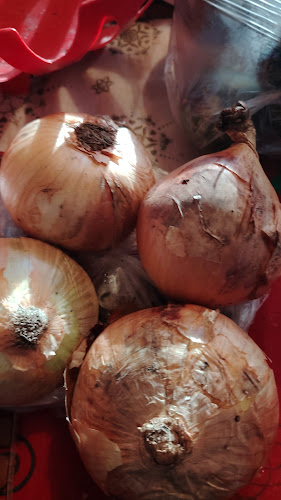 Mundo Fresco 7 - Gastronomía y hostelería