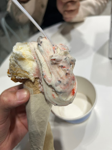 Freddo - Punta Ballena