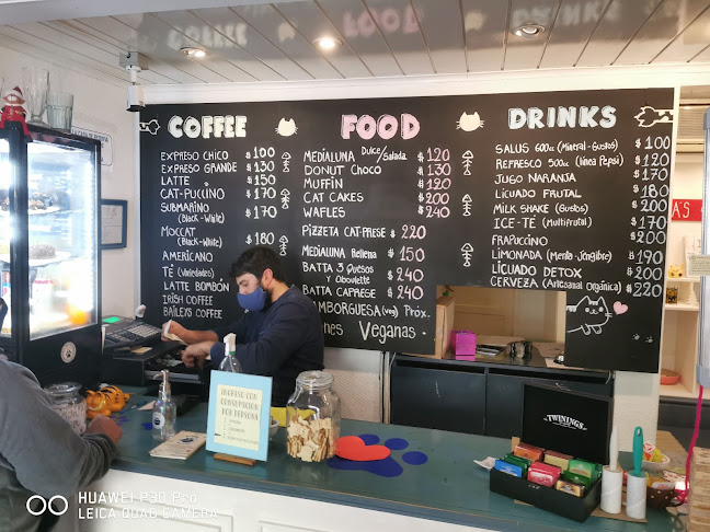 ADRIANUZCA'S CAT CAFÉ ☕🐈 - Gastronomía y hostelería