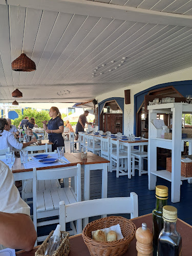 Comentarii opinii despre Popei