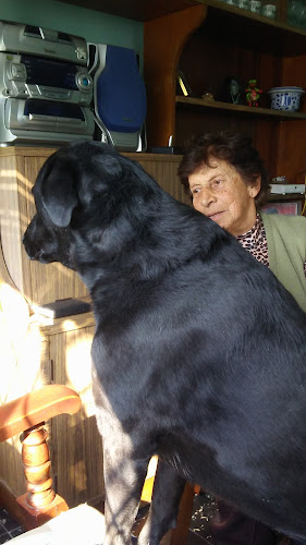 Opinii despre Almacén Paty în Montevideo - Gastronomía y hostelería