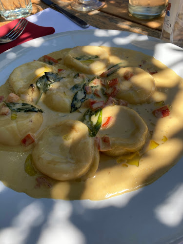 Comentarii opinii despre Morelia