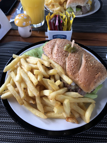 Comentarii opinii despre Los Kamikazes Colonia