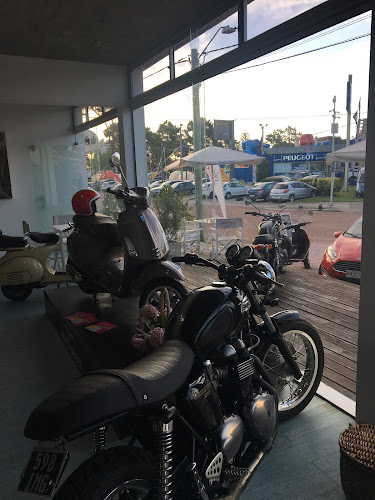 Opinii despre Cafe / Surf în Punta del Este - Gastronomía y hostelería