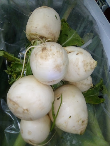 Comedor 70 Sarandi Grande - Sarandí Grande