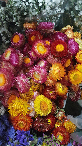 COFLORAL (mercado de flores)