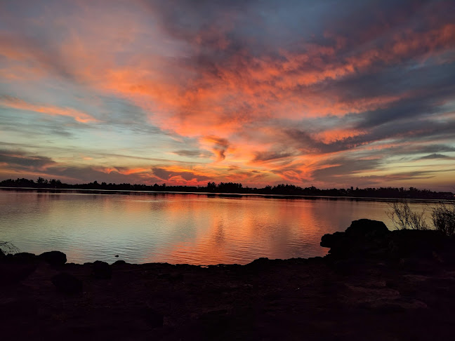 Comentarii opinii despre Bella Unión