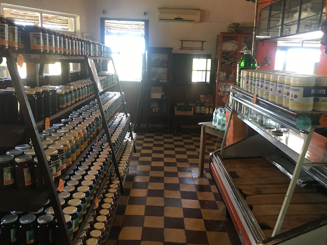 Hostal Punta Pueblo - San José de Mayo