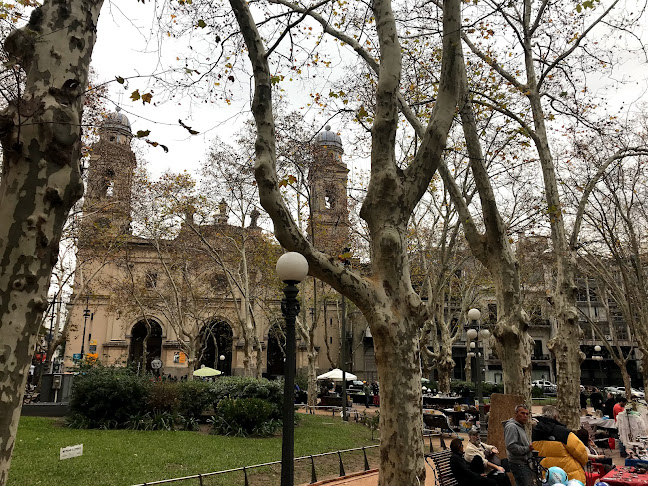 Opinii despre Feria de antigüedades de Plaza Constitución în Montevideo - Gastronomía y hostelería